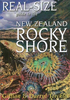 life size guide to New Zealand rocky shore , a photographic guide